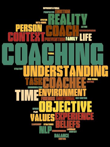 mentoring by diane shawe