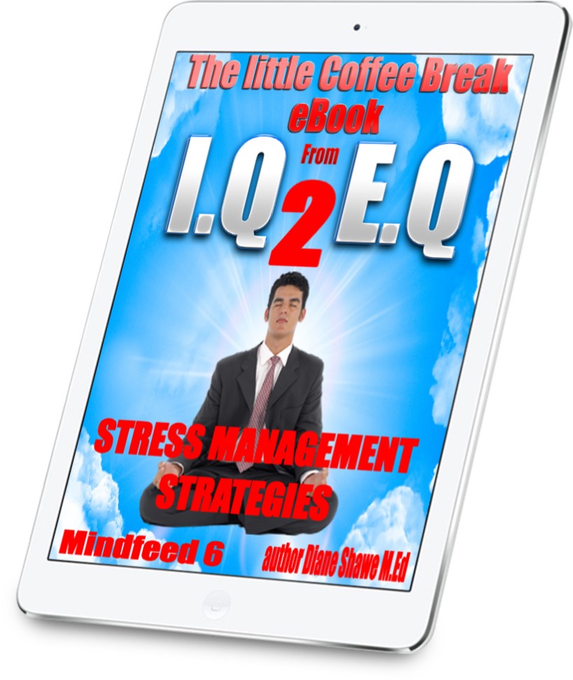 Stress Management Strategies Mindfeed 6 by Diane Shawe
