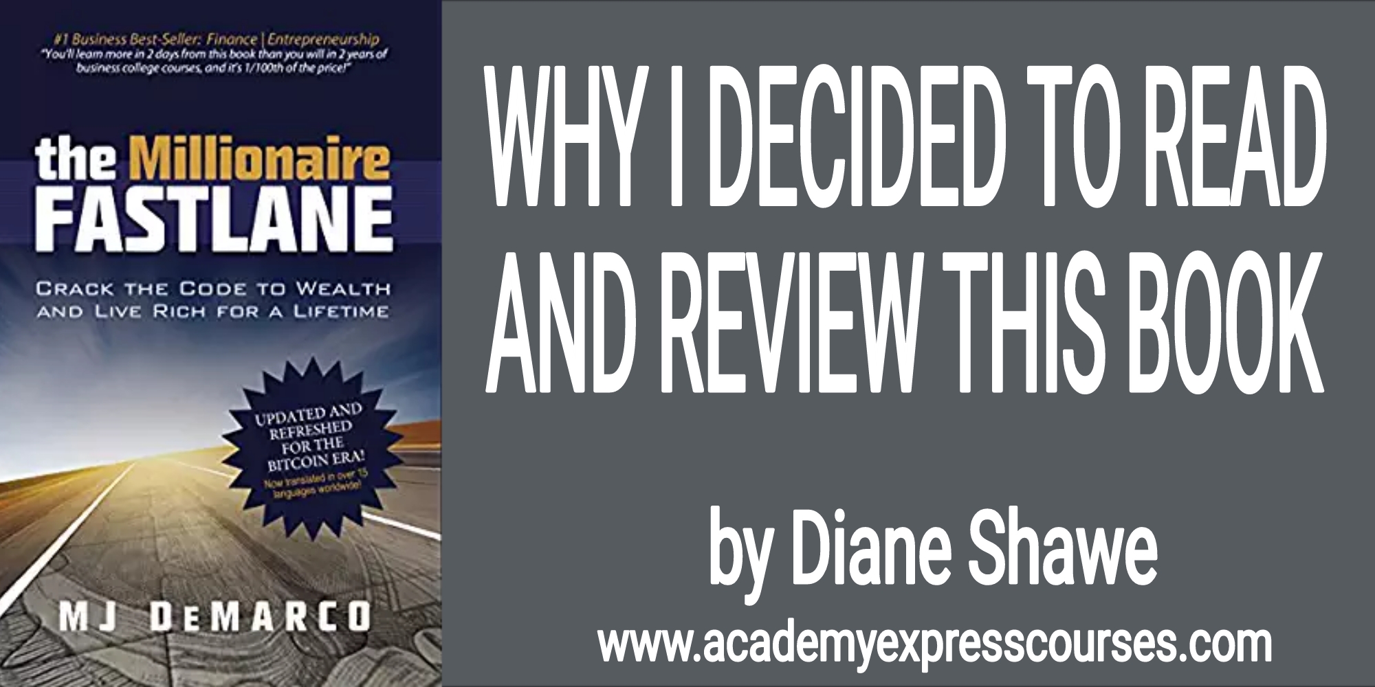 The Anatomy of a Budding Millionaire by Diane Shawe