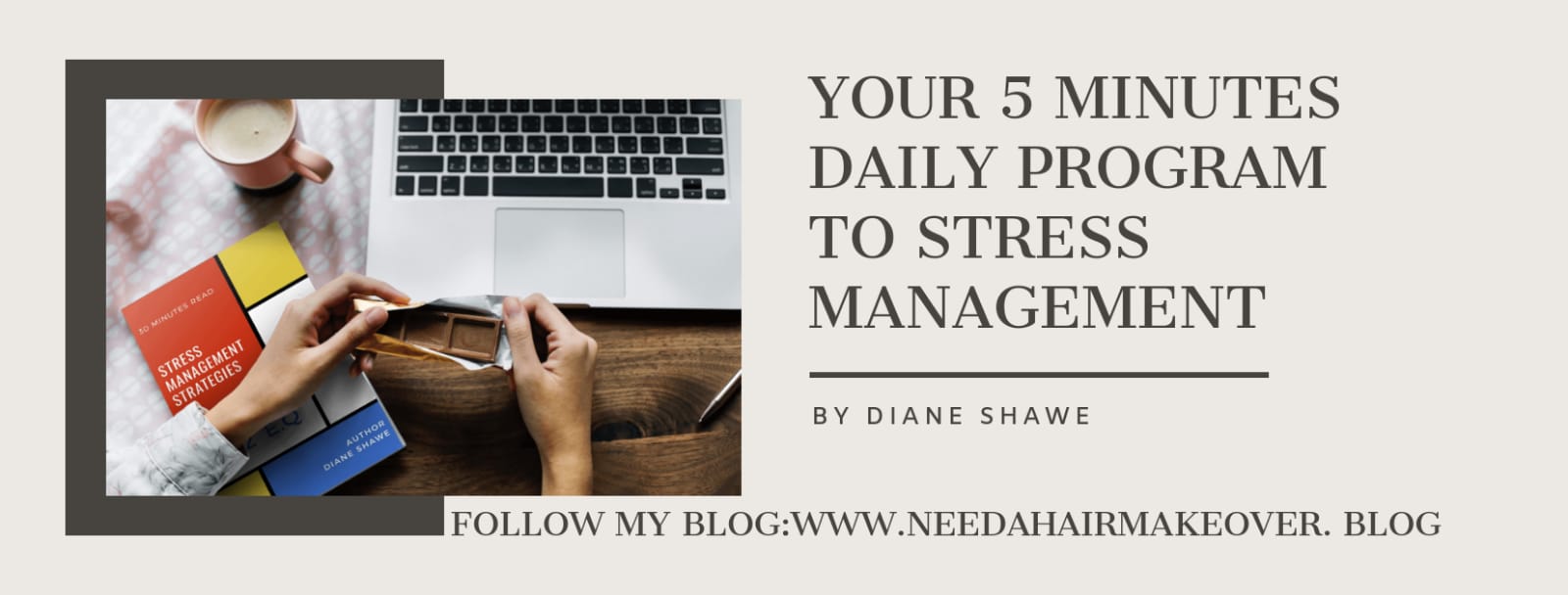 Your 5 Minutes Daily Program to Stress Management by Diane Shawe